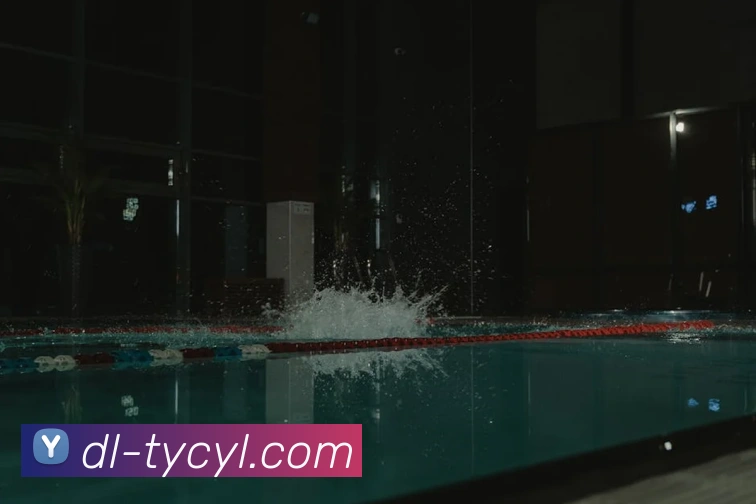 太阳城网站平台生态图