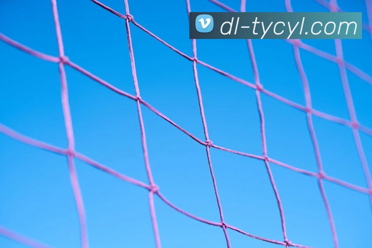 太阳城网站全站App